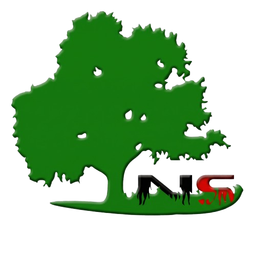 NirmalSoftech Logo